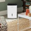 Frigidaire 50-Pint Portable Dehumidifier for Basement, Home, and Attic, 115V, Quiet Moisture Absorber for Humidity Control with Auto Shut-Off and Removable Water Bucket/Continuous Drain Option, White