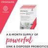 Frigidaire 10FFPROS02 ReadyClean Probiotic Sink & Disposer Cleaner, 6 Treatments(1 Count (Pack of 1))