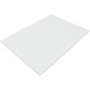 Frigidaire 240350619 Glass Shelf for Refrigerators