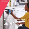 FRIGIDAIRE 5304508691 Ready Clean Stainless Steel Cleaner, 12 Ounces(Stainless Steel Cleaner)