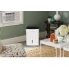 Frigidaire 50 Pint Dehumidifier w/Pump(35 Pint)