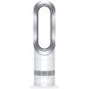 AM09 Dyson