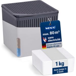 WENKO Déshumidificateur Cube 500 g, pour pièces jusqu’à 40 m³, elimine l&rsquo;humidité, anti moississure, sans électricité, silencieux, rechargeable, blanc(Argent Brillant)