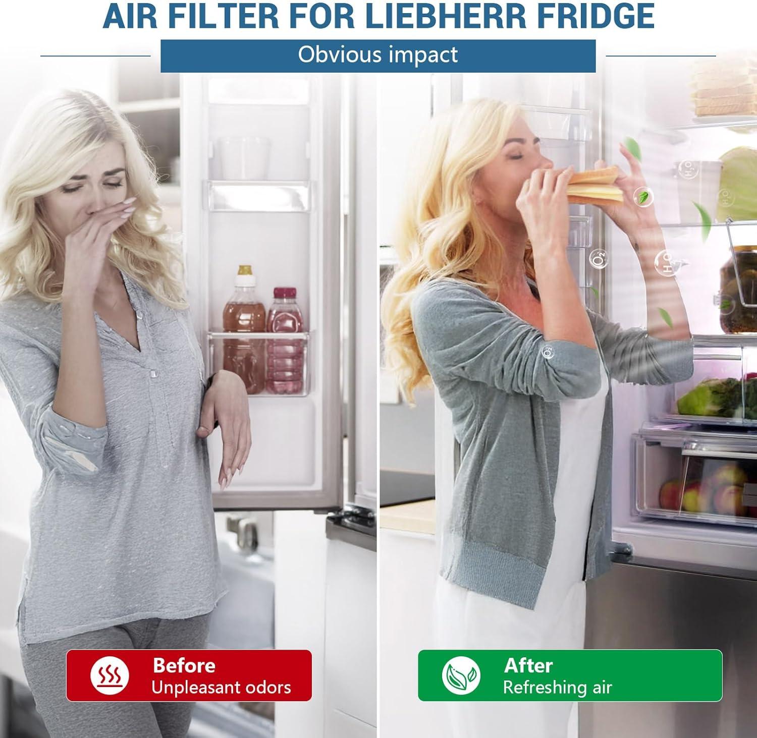 imageFresh Air Lot de 2 filtres charbon actif pour Liebherr rfrigrateur 9096989 988246000 988246001 9882429 9882460 remplace le charbon actif 744002100 carr