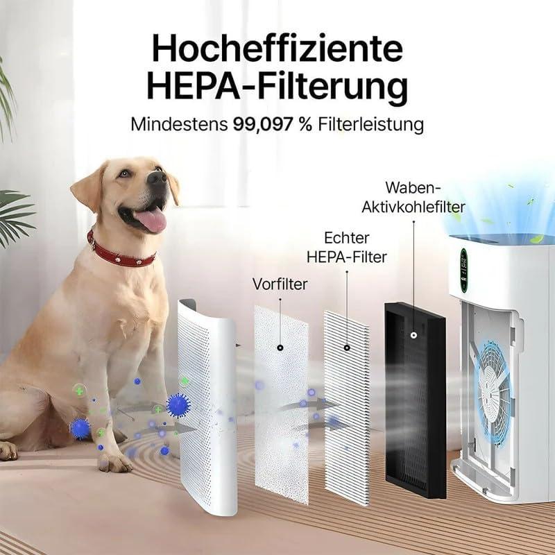 image:imageOryzom Purificateur dair intelligent V1 Pro Filtration HEPA puissante avec capteur PM25 application et commande vocale pour un air intrieur purBlancBlanc