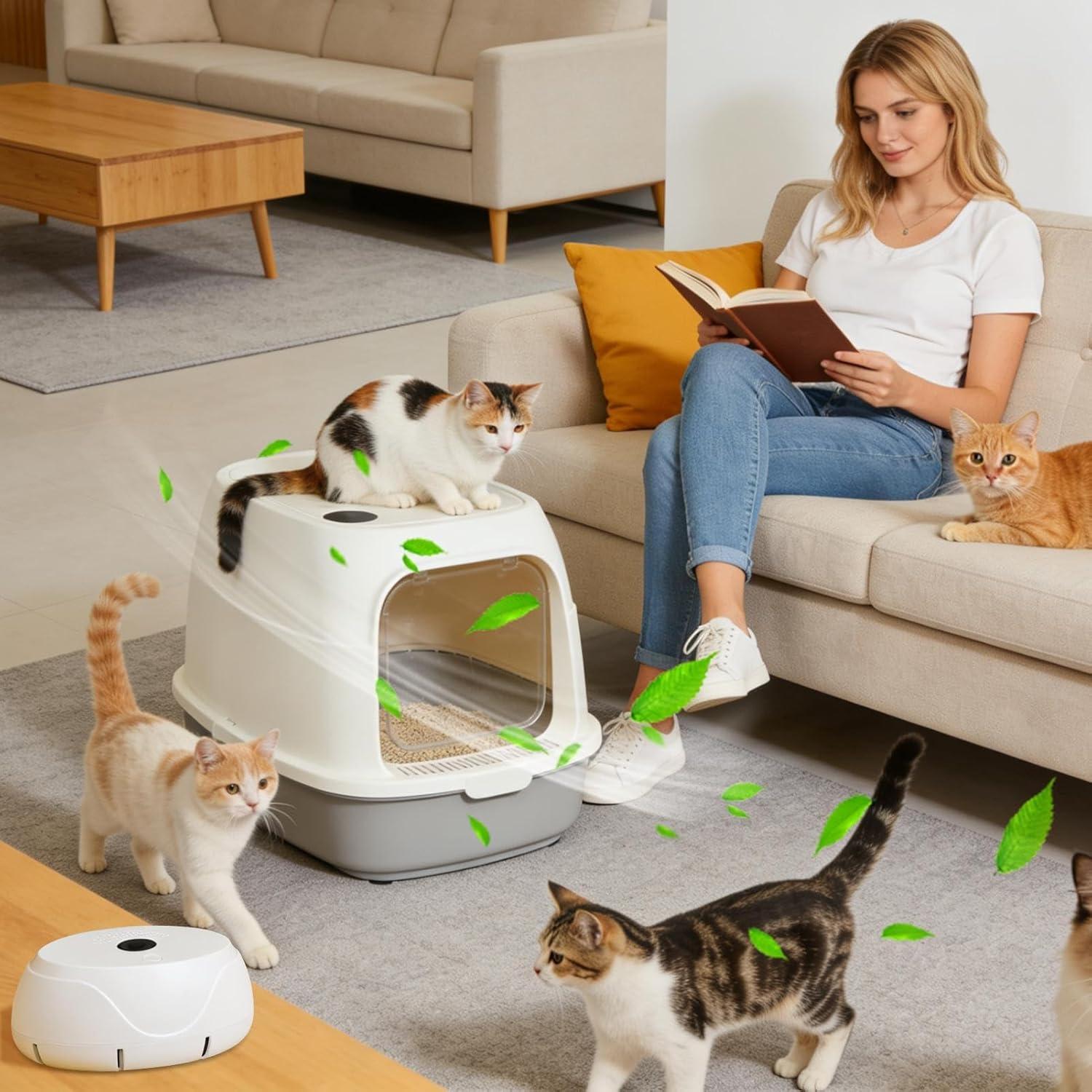 image:imagePurificateur dAir pour Animaux de Compagnie liminateur dOdeurs Rechargeable 3 Modes liminateur dOdeurs pour Chats et Petits EspacesPour Cuisine Bureau Dortoir Salon Maison Entire