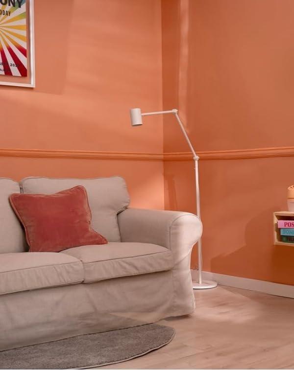 image:imageAriasana Absorbeur dhumidit Aero 360 Compact pche Colour Collection 1 dshumidificateur et 1 onglet de charge 450 g absorbant lhumidit pour la circulation de lair dshumidificateur maison