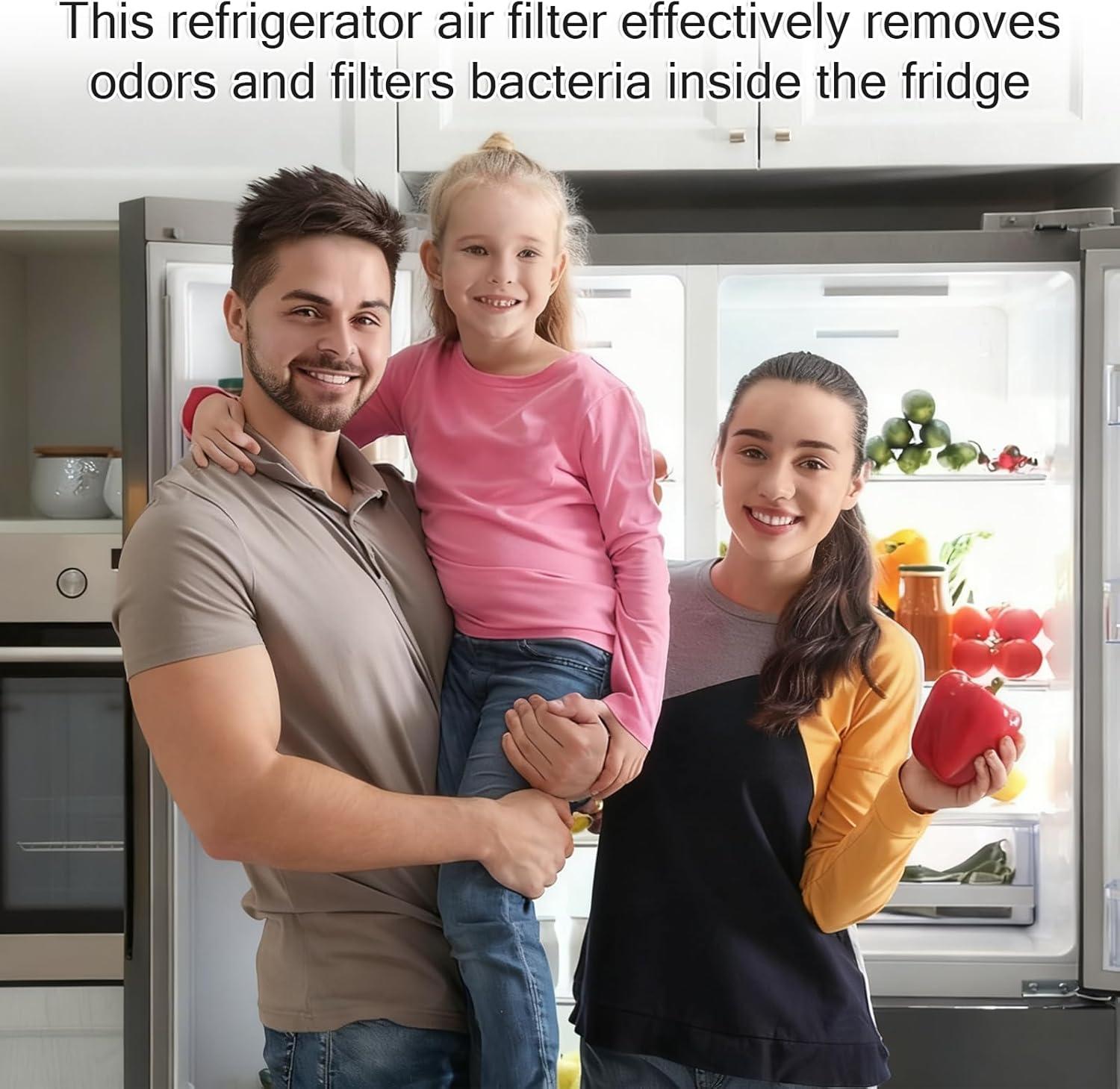 image:image3 Pices Filtres Charbon Actif pour Rfrigrateur Liebherr Noir Filtre Frigo Liebherr Carr Charbon Actif Filtre pour Combin Rfrigrateur Conglateur Purification De Lair