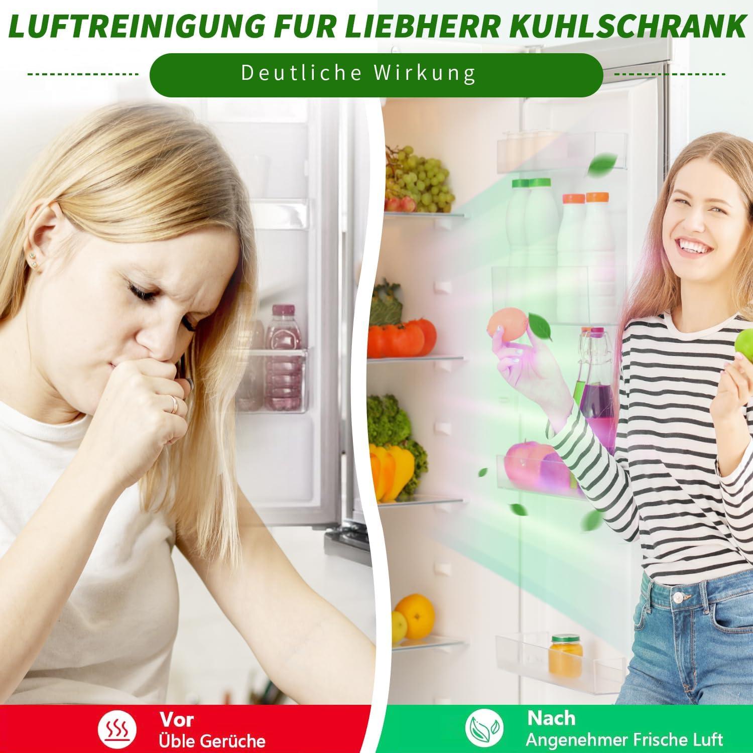 image:imageLot de 2 filtres charbon actif pour rfrigrateur Liebherr 9096989 9882460 988246000 Fresh Air avec charbon actif pour rfrigrateurs Filtre charbon actif de qualit suprieure Compatible avec