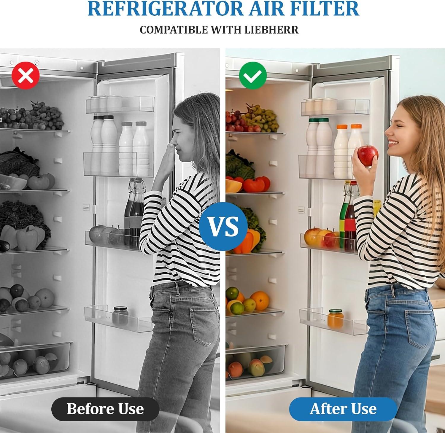 image:image3 articles Filtres Charbon Actif pour Rfrigrateur Liebherrcompatible Liebherr Filtre Air FraisPour les Rfrences 9096989 988246000 988246001744002100Filtre de Rechange pour Rfrigrateur