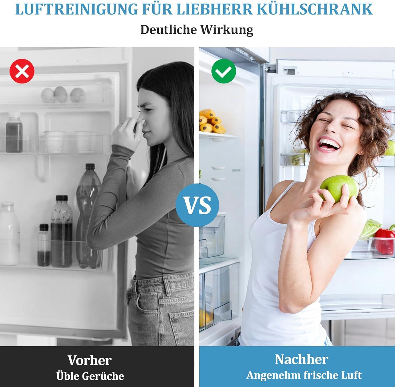 image:imageLot de 2 filtres charbon actif pour rfrigrateur Liebherr filtre Fresh Air compatible avec 744002100 9096989 9882460 988246000 988246001 9882429